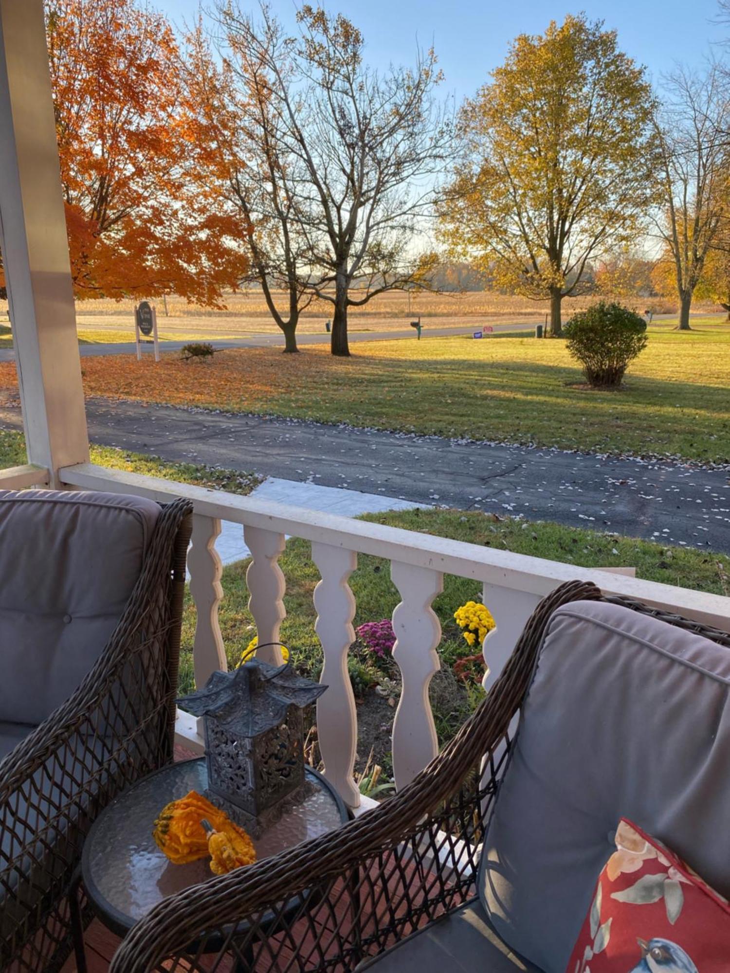 The Vine Bed & Breakfast, Llc Dundee Dış mekan fotoğraf